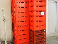 Nn plastic crates - afbeelding 2 van  4