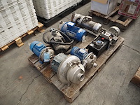 Nn pumps - afbeelding 1 van  11