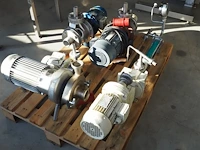 Nn pumps - afbeelding 7 van  14