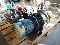 Nn pumps - afbeelding 13 van  14