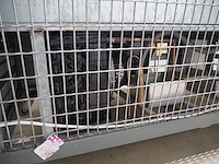 Nn refrigeration showcase - afbeelding 8 van  9