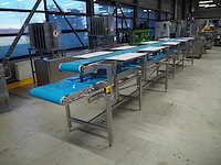 Nn sorting belt - afbeelding 3 van  10