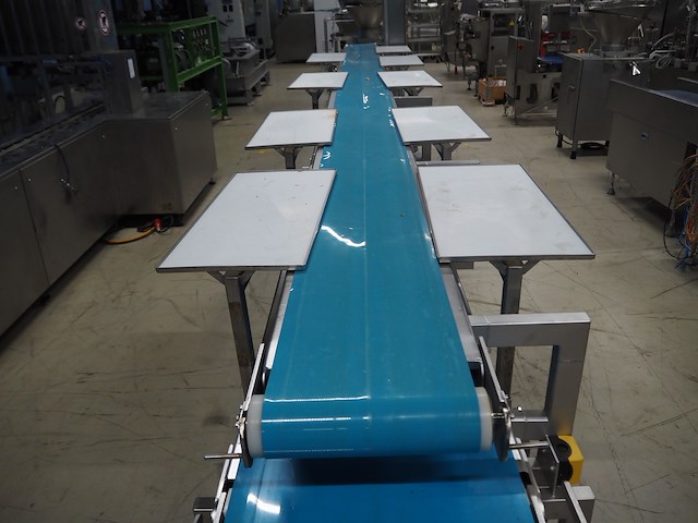 Nn sorting belt - afbeelding 6 van  10