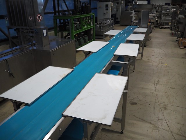 Nn sorting belt - afbeelding 7 van  10
