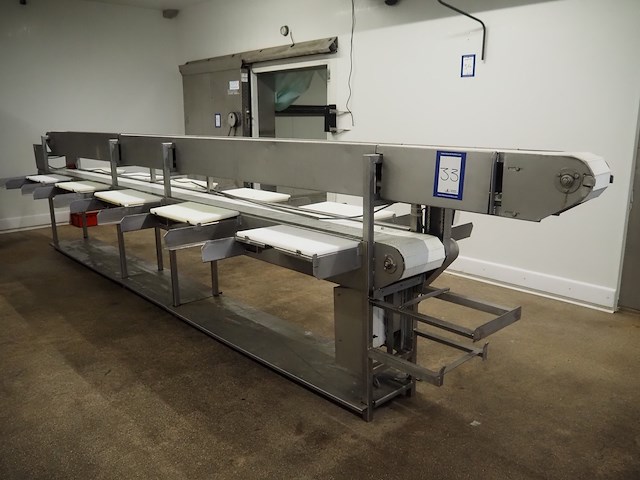 Nn sorting conveyor - afbeelding 1 van  9