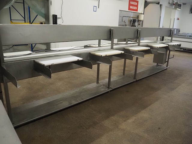 Nn sorting conveyor - afbeelding 2 van  9