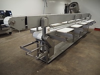 Nn sorting conveyor - afbeelding 3 van  9