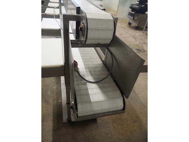 Nn sorting conveyor - afbeelding 5 van  9