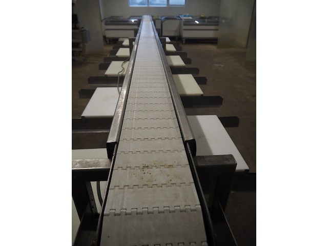 Nn sorting conveyor - afbeelding 6 van  9