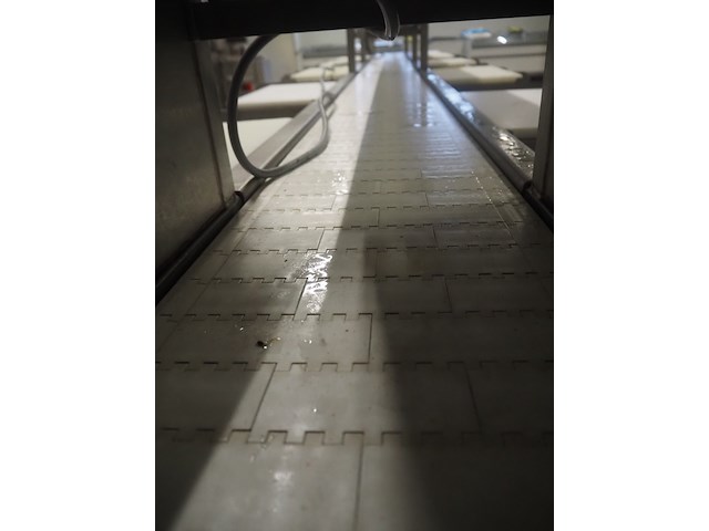 Nn sorting conveyor - afbeelding 7 van  9