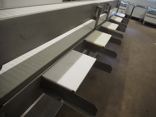 Nn sorting conveyor - afbeelding 9 van  9