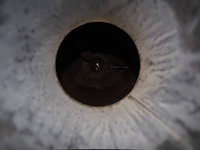 Nn tank - afbeelding 5 van  7