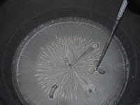 Nn tank - afbeelding 5 van  5