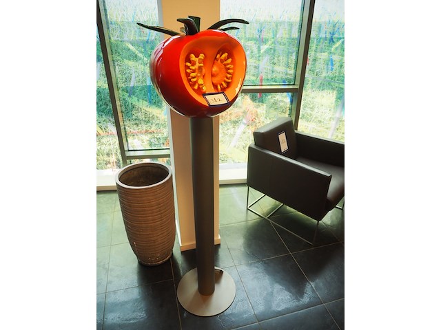 Nn tomato statue - afbeelding 2 van  4