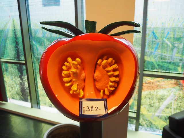 Nn tomato statue - afbeelding 3 van  4