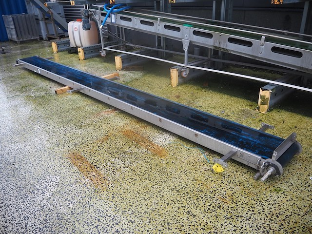 Nn transport belt - afbeelding 1 van  6