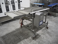 Nn transport belt - afbeelding 2 van  9