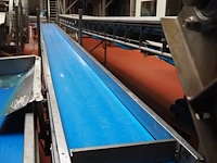 Nn transport belt - afbeelding 3 van  6