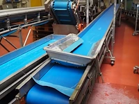 Nn transport belt