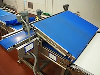 Nn transport belts - afbeelding 3 van  4