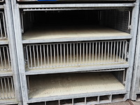 Nn transport cages for turkey - afbeelding 4 van  5