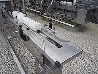 Nn tray filling and closing machine - afbeelding 11 van  15
