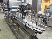 Nn tray filling and closing machine - afbeelding 1 van  12