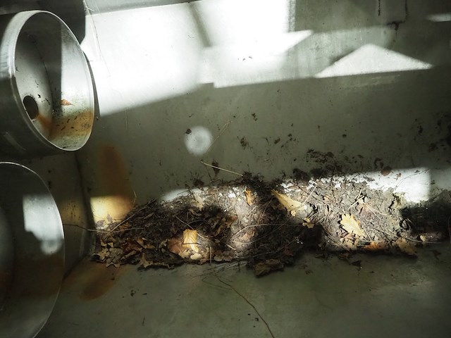 Nn vegetable washer - afbeelding 6 van  21