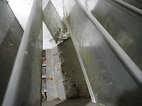 Nn vegetable washer - afbeelding 19 van  21