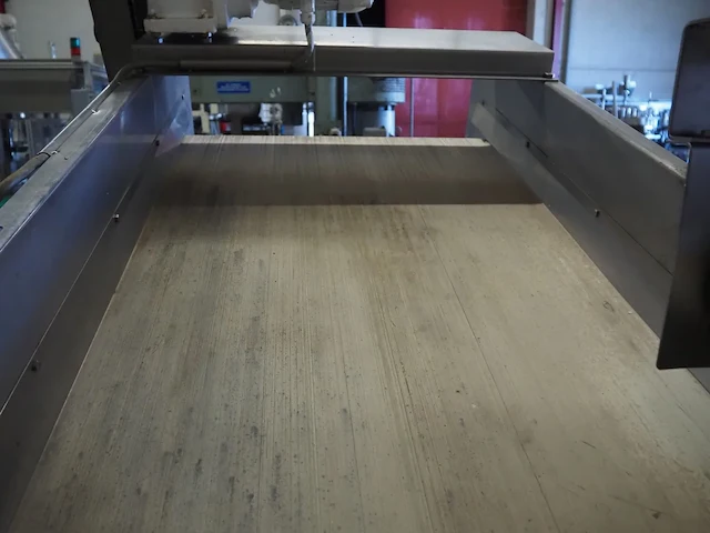 Nn vibrating gutter with sorting belt - afbeelding 6 van  19