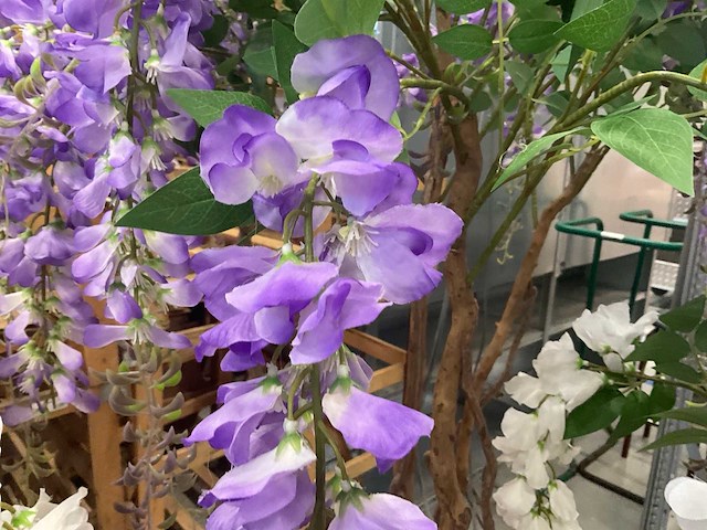 Nn wisteria kunstplanten (4x) - afbeelding 5 van  9