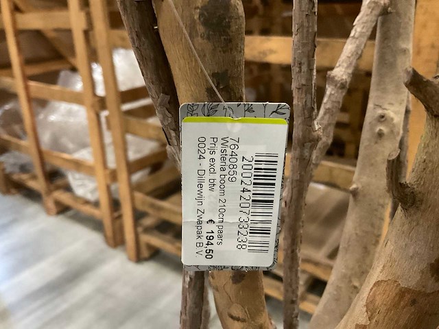 Nn wisteria kunstplanten (4x) - afbeelding 8 van  9