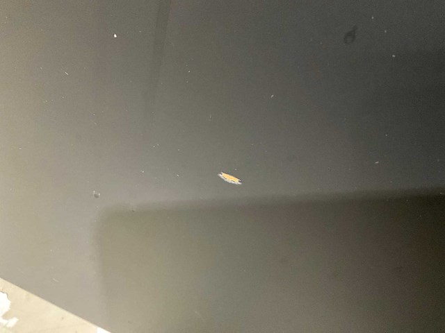 Nobilia corneille keukeneiland met achterwand - afbeelding 15 van  26