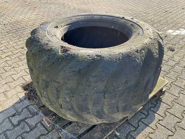 Nokian forest king f band - afbeelding 2 van  6