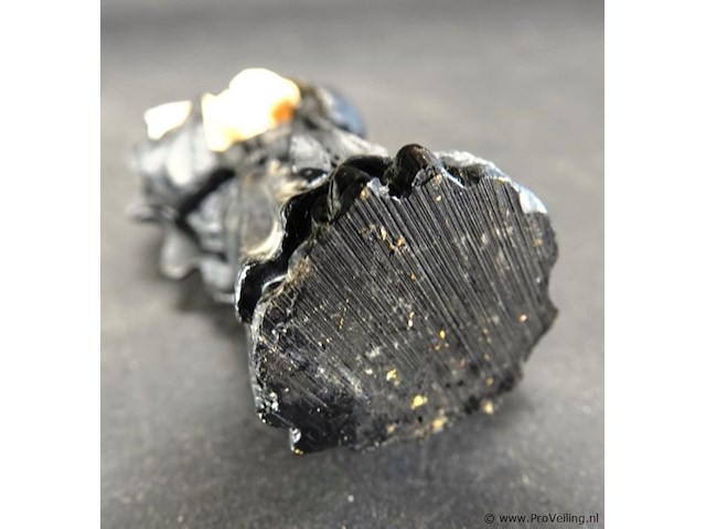 Nonnetje - afbeelding 3 van  3