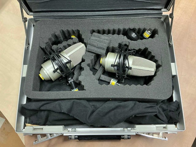 Nordweg microfoon (2x) - afbeelding 1 van  5