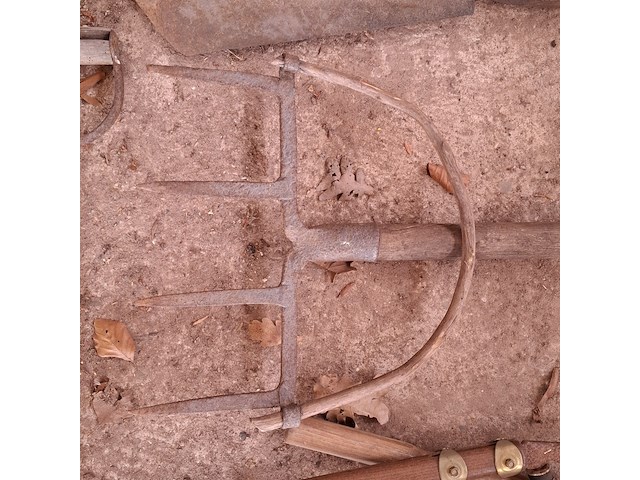 Nostalgisch tuingereedschap - afbeelding 4 van  16