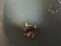 Nostalgische maalmolen - afbeelding 3 van  4