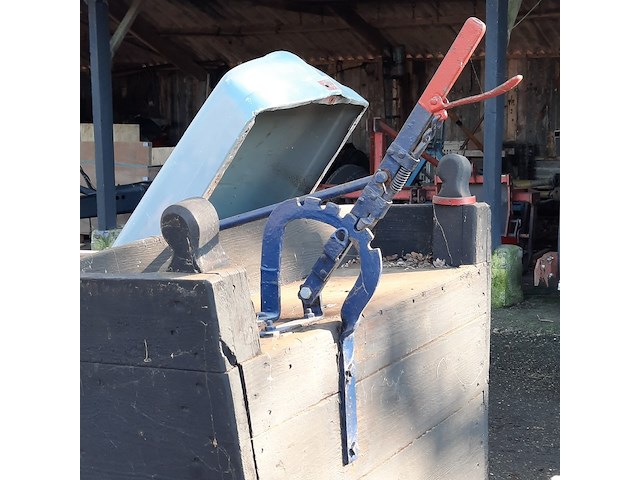 Nostalgische mestwagen - afbeelding 2 van  11