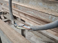 Nostalgische trapboomfrees - afbeelding 9 van  9