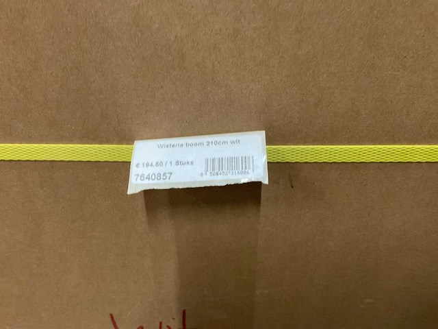 Nova nature wisteria kunstkamerplant (2x) - afbeelding 4 van  4