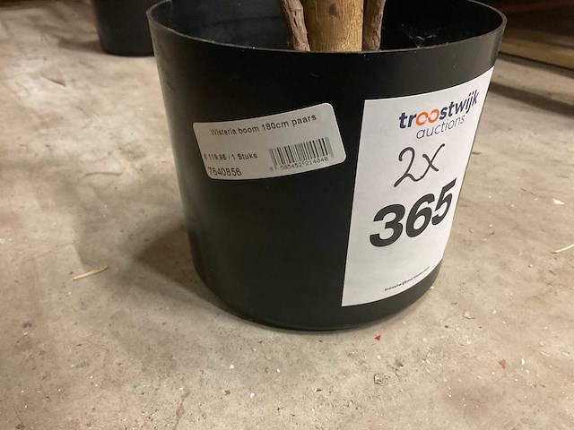 Nova nature wisteria kunstkamerplant (2x) - afbeelding 4 van  4