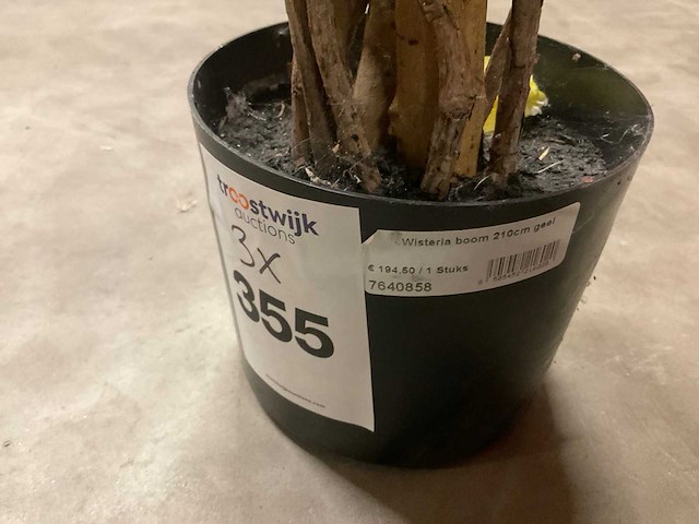 Nova nature wisteria kunstkamerplant (3x) - afbeelding 4 van  5