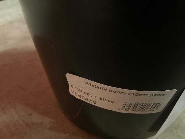 Nova nature wisteria kunstkamerplant (3x) - afbeelding 6 van  7