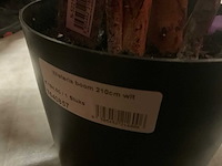 Nova nature wisteria kunstkamerplant (3x) - afbeelding 7 van  7