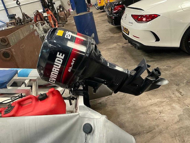 Novurania ribboot - afbeelding 4 van  7