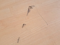 (ns materiaal) 3x tafel - afbeelding 13 van  15