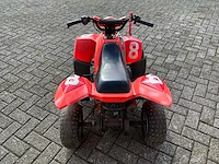 Ns50 atv-m 2 takt quad - afbeelding 9 van  12