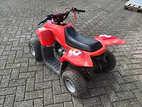 Ns50 atv-m 2 takt quad - afbeelding 10 van  12