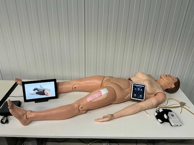 Nursing anne - laerdal - 325-05050 - afbeelding 2 van  9